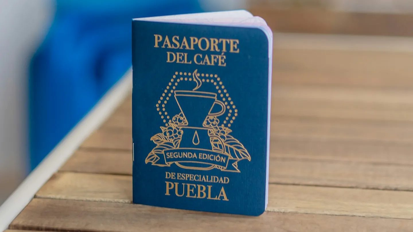 Passport and identity documents laid out on a table for an MCCQE application