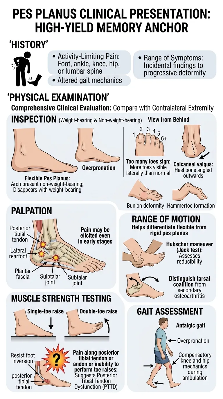 Memory anchor poster for Clinical Presentation